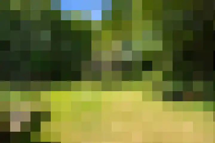 Nieuwe Streek 58 Kolhorn thumbnail 49
