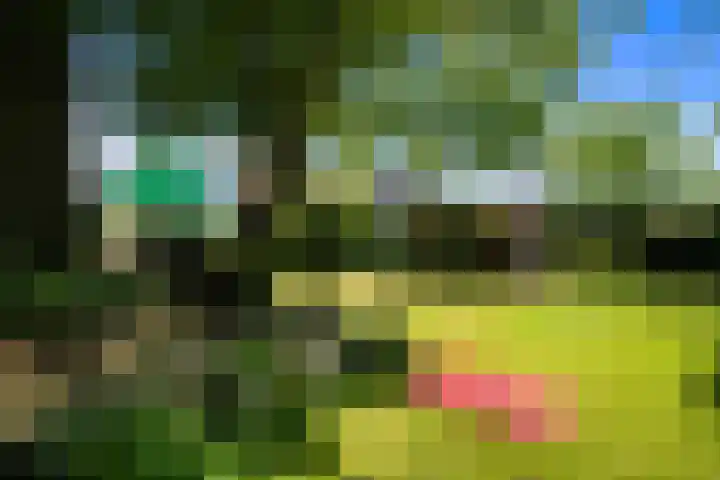 Nieuwe Streek 58 Kolhorn thumbnail 50