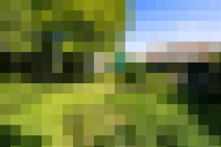 Nieuwe Streek 58 Kolhorn thumbnail 51