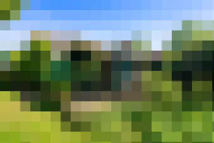 Nieuwe Streek 58 Kolhorn thumbnail 52
