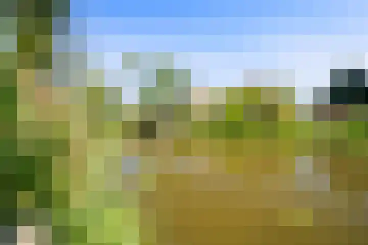 Nieuwe Streek 58 Kolhorn thumbnail 53