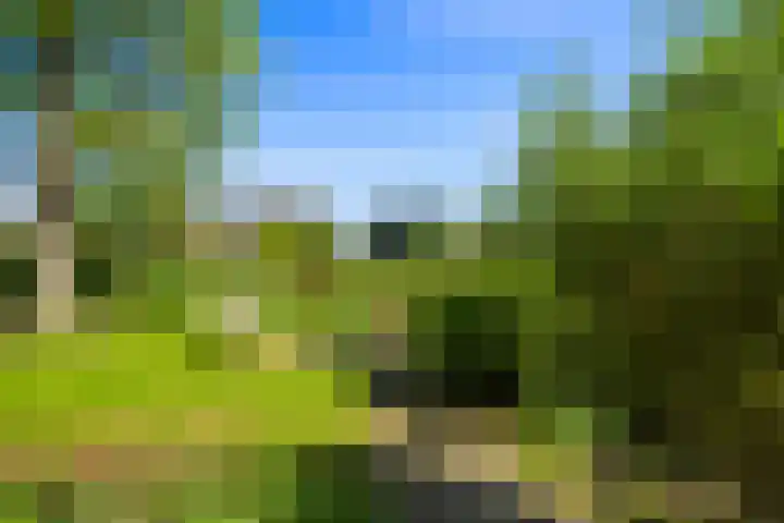 Nieuwe Streek 58 Kolhorn thumbnail 54