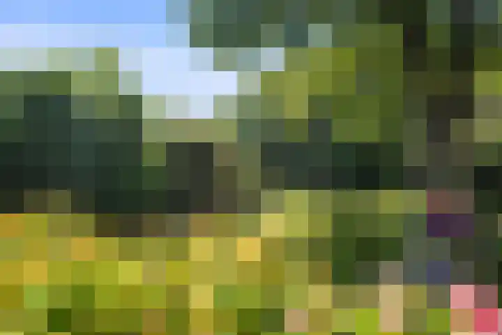 Nieuwe Streek 58 Kolhorn thumbnail 55