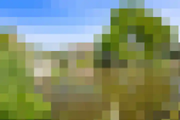 Nieuwe Streek 58 Kolhorn thumbnail 57