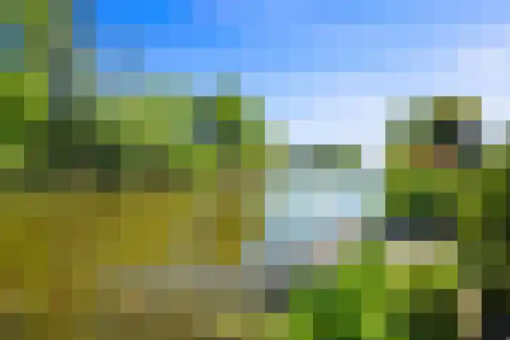 Nieuwe Streek 58 Kolhorn thumbnail 58