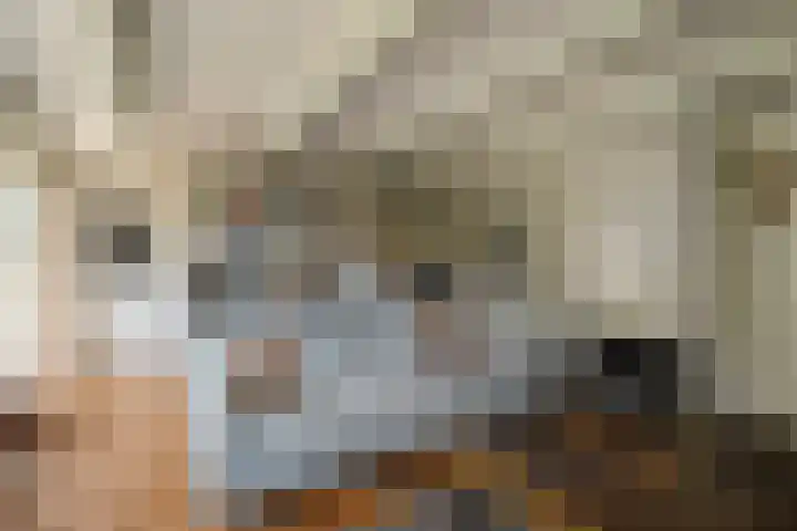 Nieuwe Streek 58 Kolhorn thumbnail 8