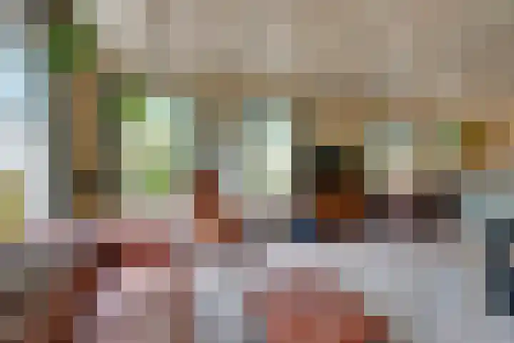 Nieuwe Streek 68 Kolhorn thumbnail 11