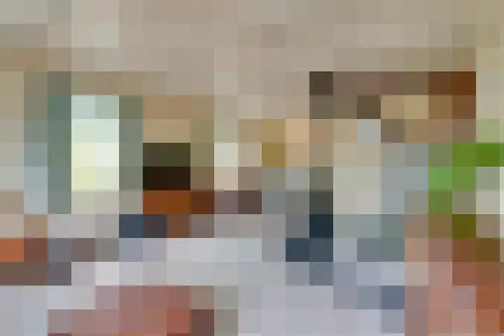 Nieuwe Streek 68 Kolhorn thumbnail 12