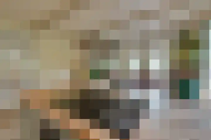 Nieuwe Streek 68 Kolhorn thumbnail 17