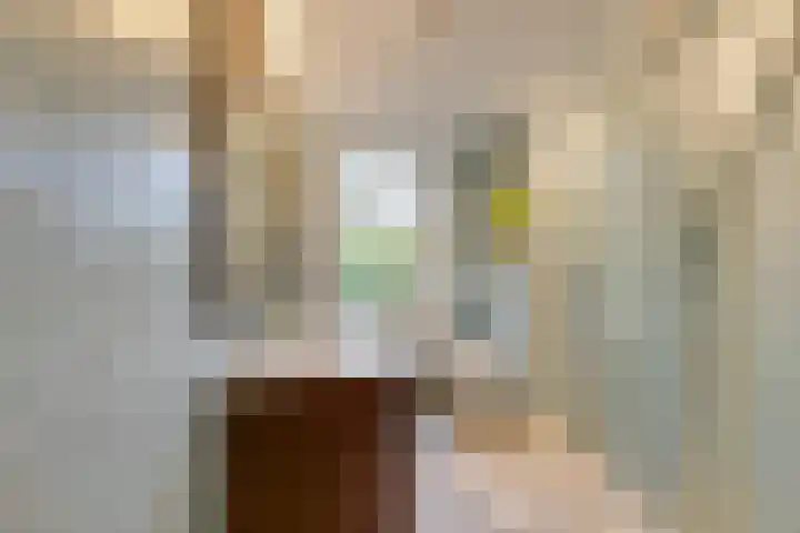 Nieuwe Streek 68 Kolhorn thumbnail 18