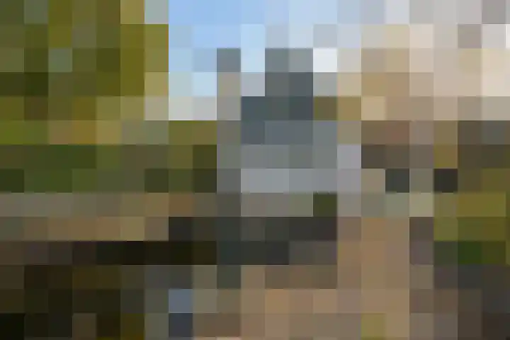 Nieuwe Streek 68 Kolhorn thumbnail 25