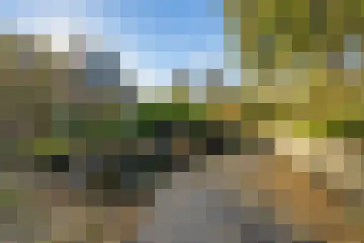 Nieuwe Streek 68 Kolhorn thumbnail 26