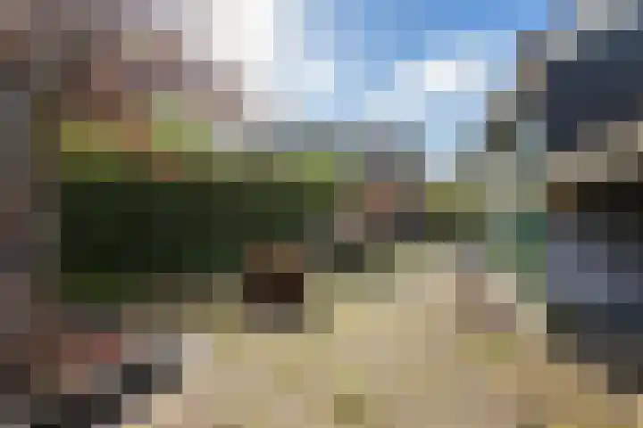 Nieuwe Streek 68 Kolhorn thumbnail 30