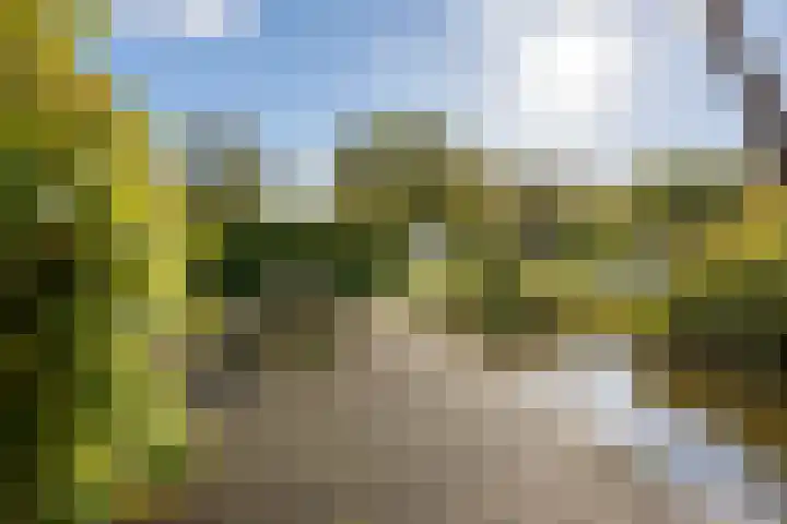 Nieuwe Streek 68 Kolhorn thumbnail 33