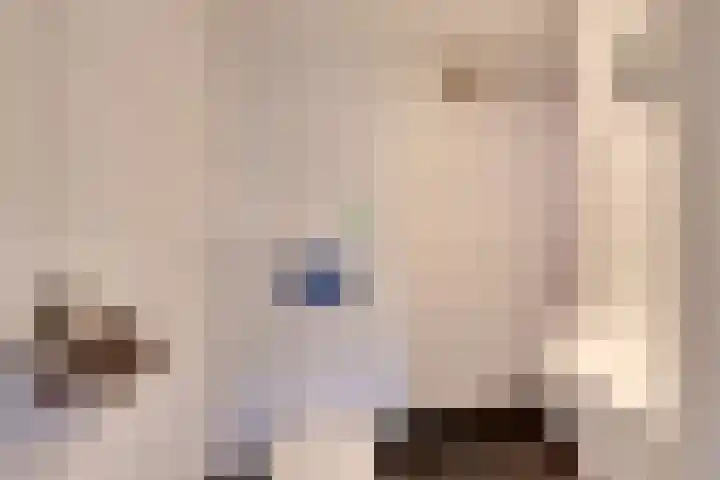 Nieuwe Streek 68 Kolhorn thumbnail 38
