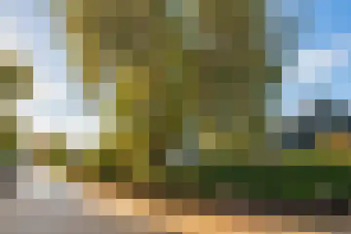 Nieuwe Streek 68 Kolhorn thumbnail 41