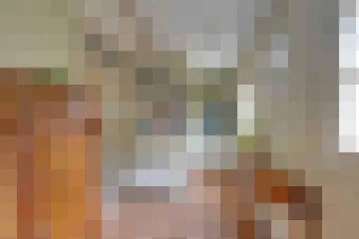 Nieuwe Streek 68 Kolhorn thumbnail 6