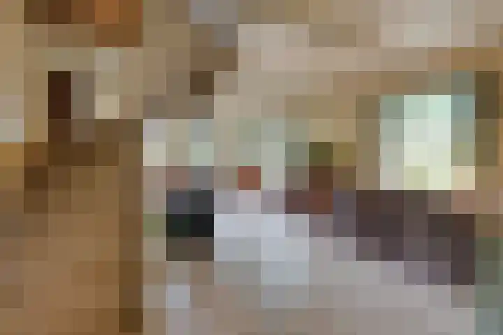 Nieuwe Streek 68 Kolhorn thumbnail 8