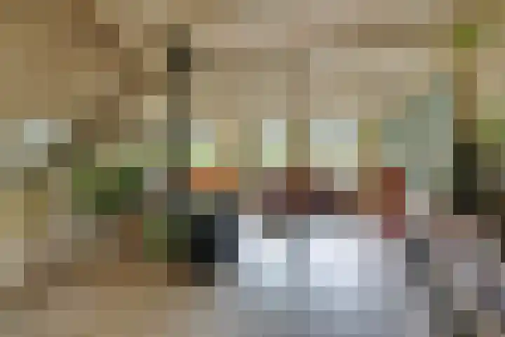 Nieuwe Streek 68 Kolhorn thumbnail 9