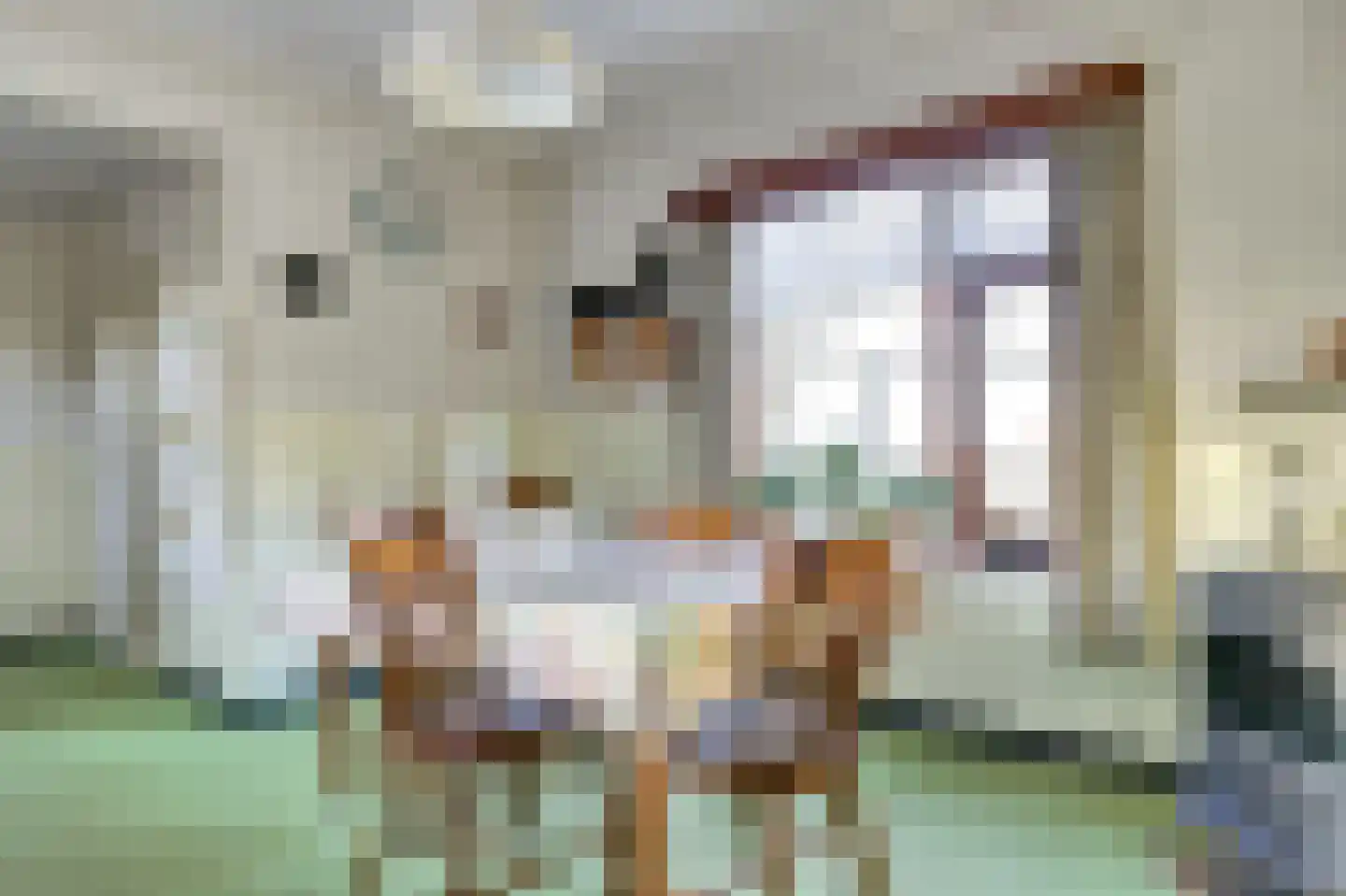 Nieuwe Strumpt 7 Ulicoten thumbnail 21