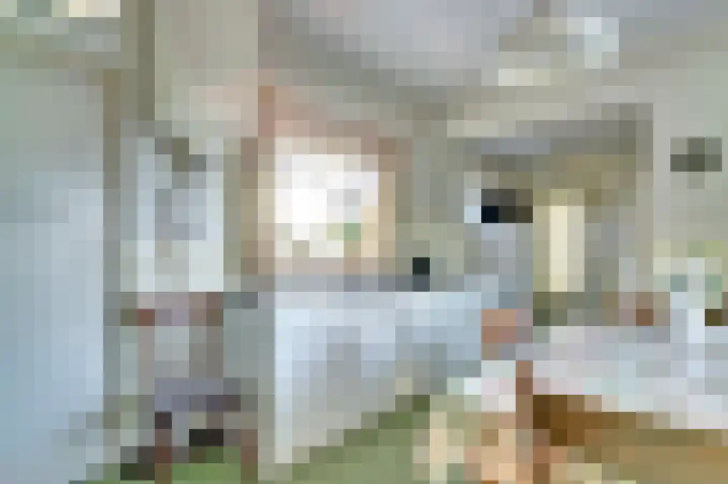 Nieuwe Strumpt 7 Ulicoten thumbnail 23