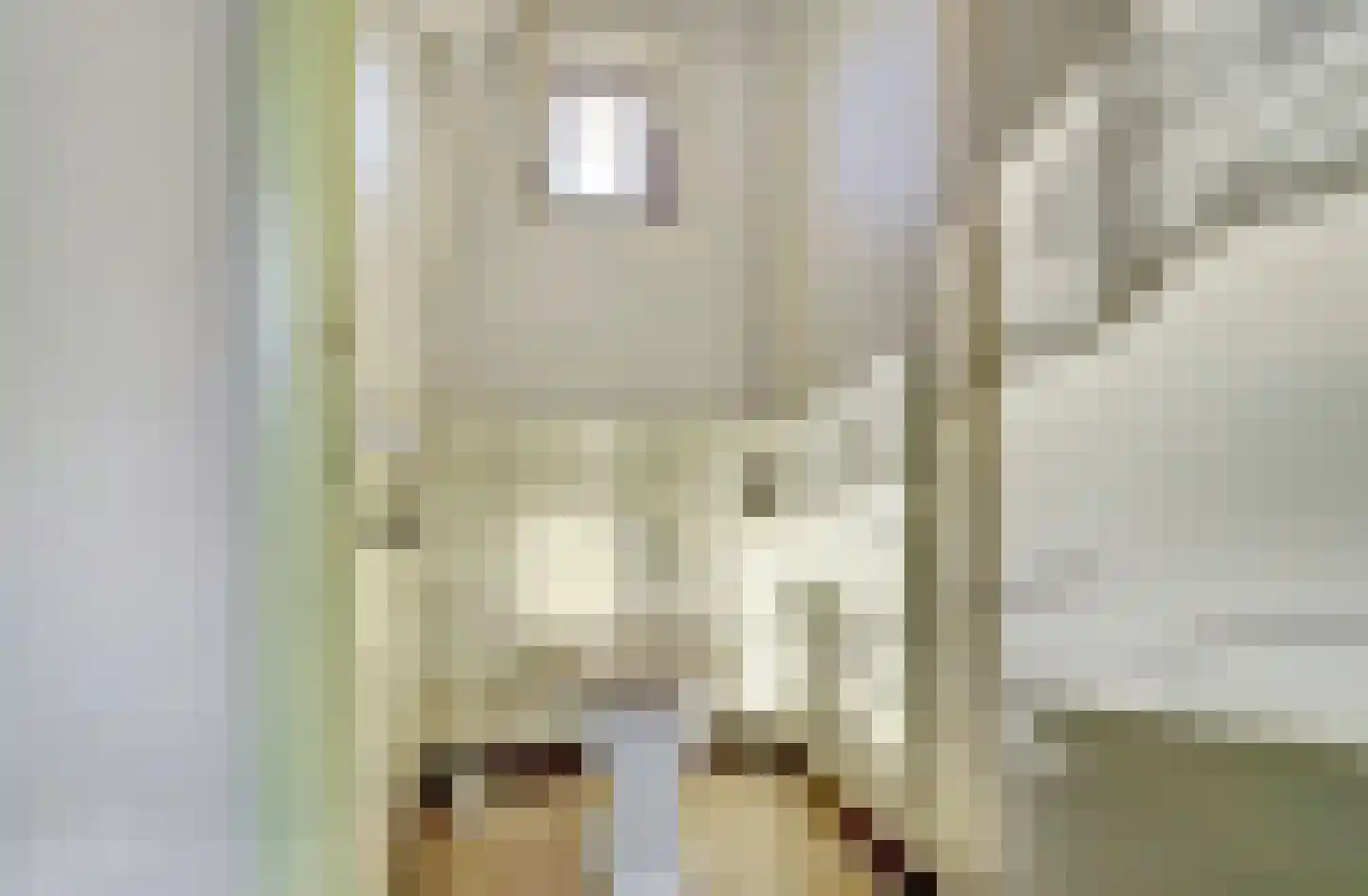 Nieuwe Strumpt 7 Ulicoten thumbnail 26