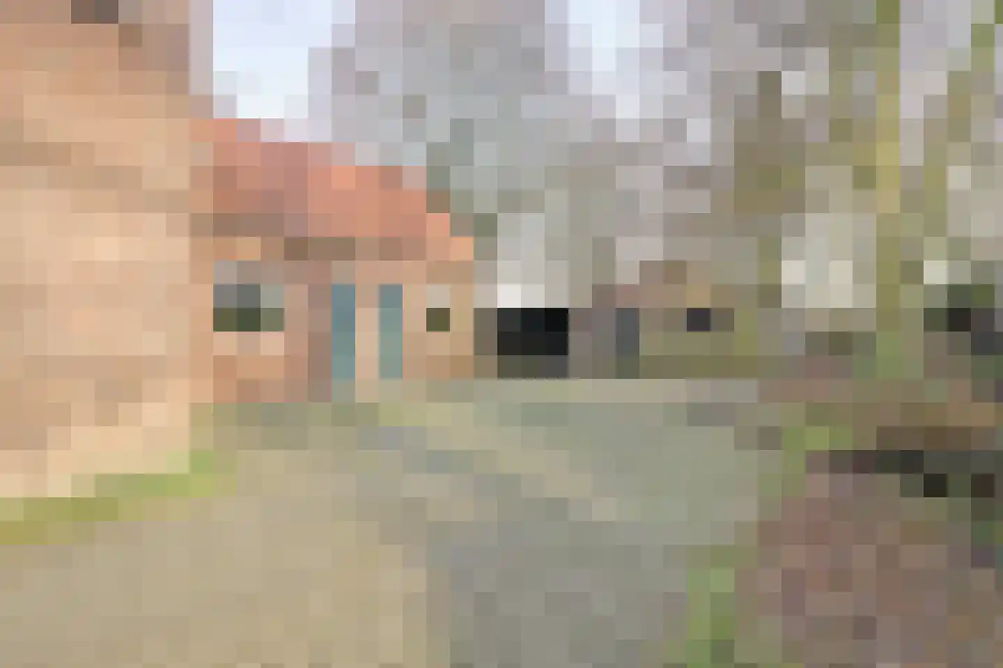 Nieuwe Strumpt 7 Ulicoten thumbnail 41