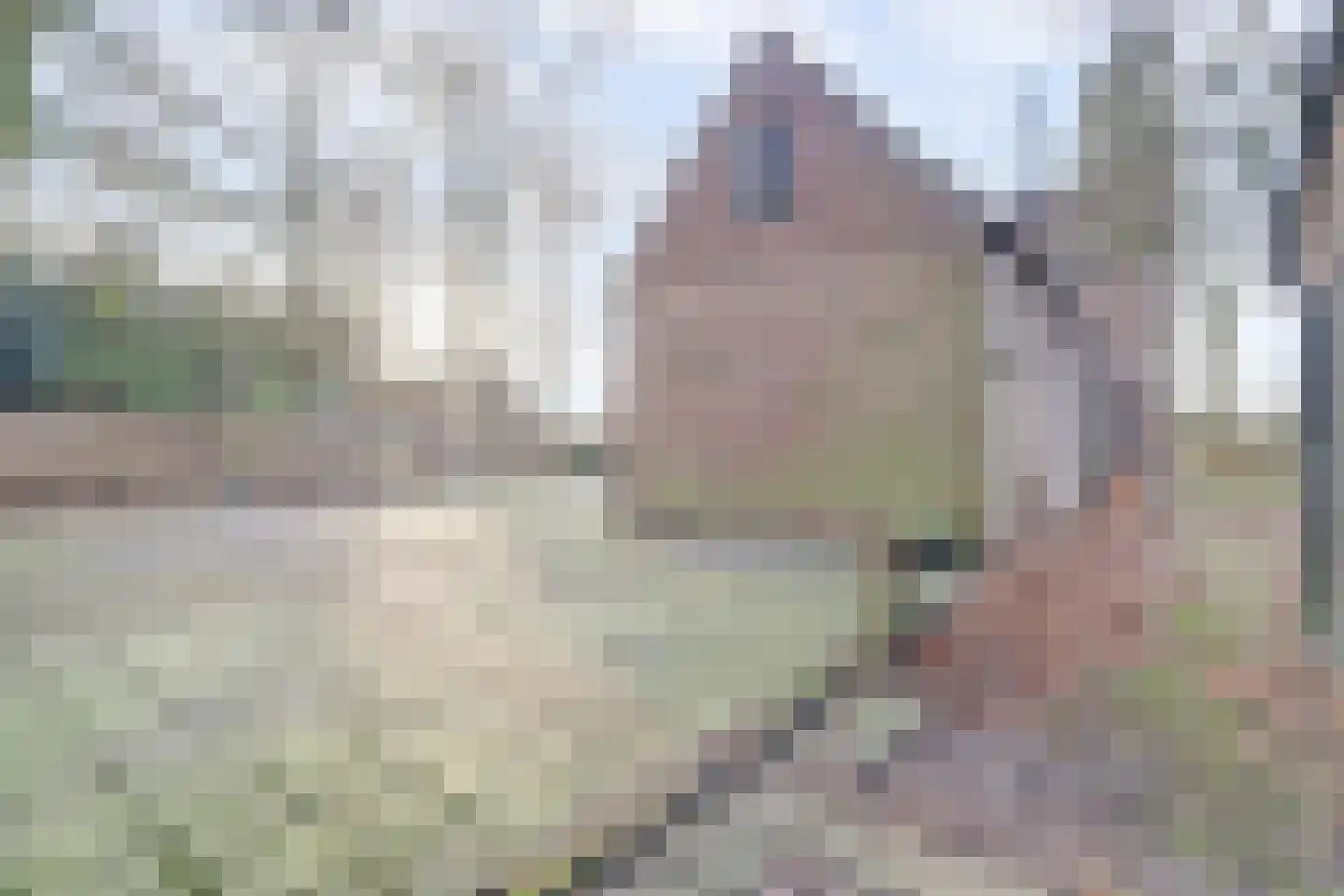 Nieuwe Strumpt 7 Ulicoten thumbnail 42