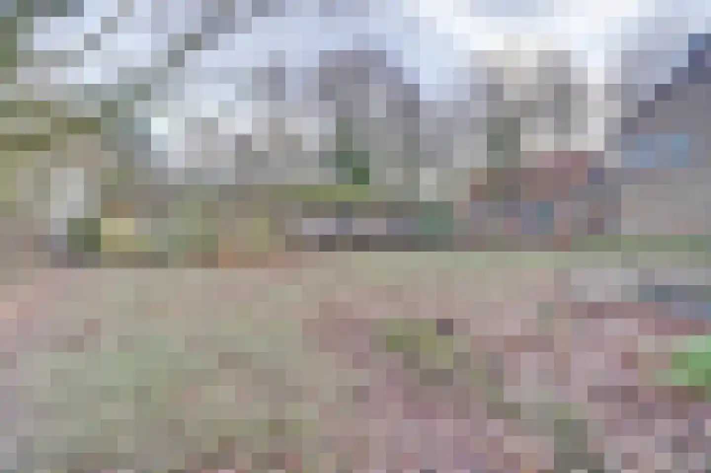 Nieuwe Strumpt 7 Ulicoten thumbnail 45