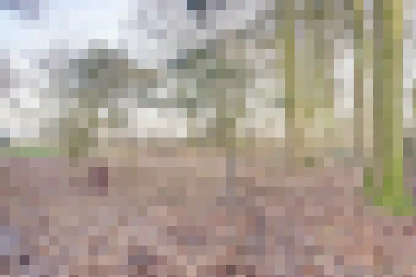 Nieuwe Strumpt 7 Ulicoten thumbnail 47