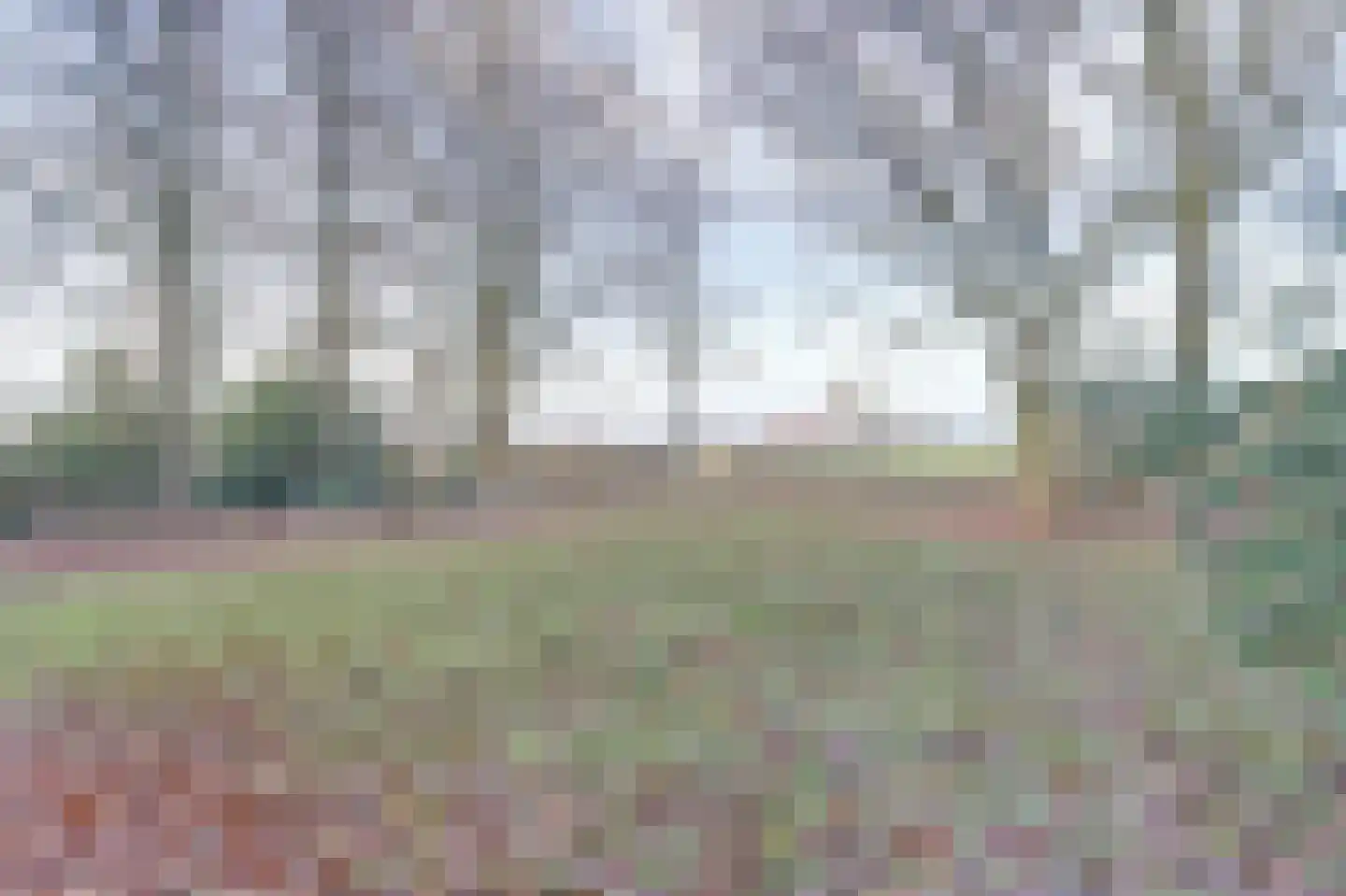 Nieuwe Strumpt 7 Ulicoten thumbnail 48
