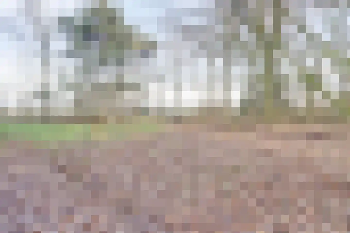 Nieuwe Strumpt 7 Ulicoten thumbnail 49