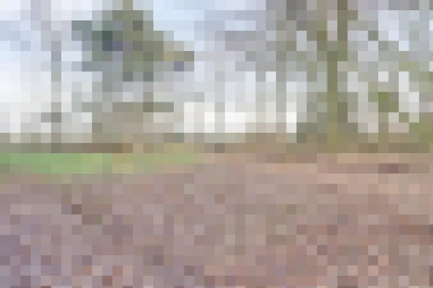 Nieuwe Strumpt 7 Ulicoten thumbnail 5