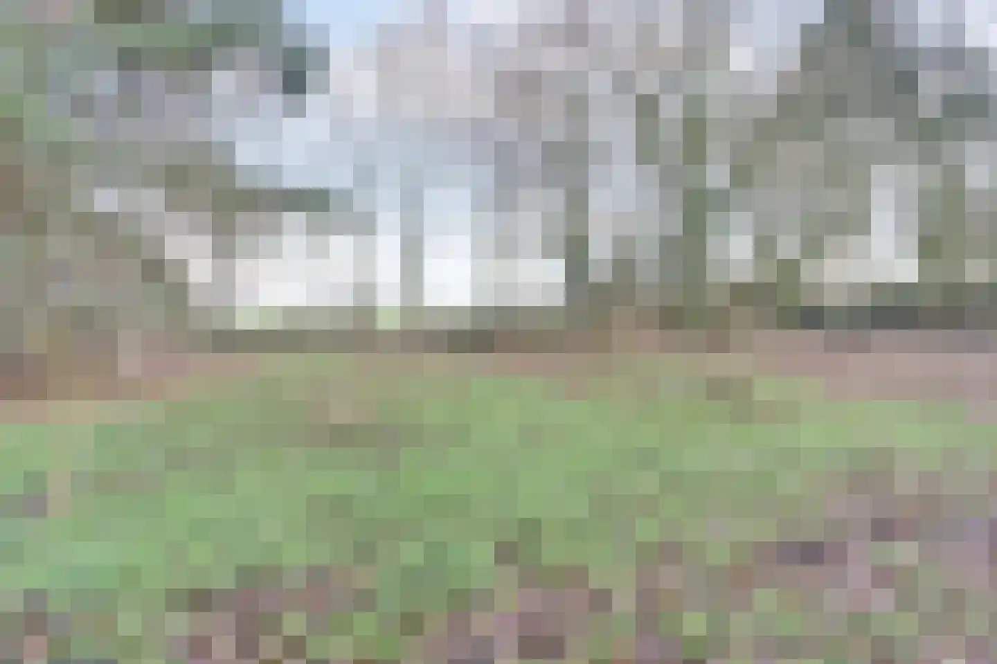 Nieuwe Strumpt 7 Ulicoten thumbnail 50