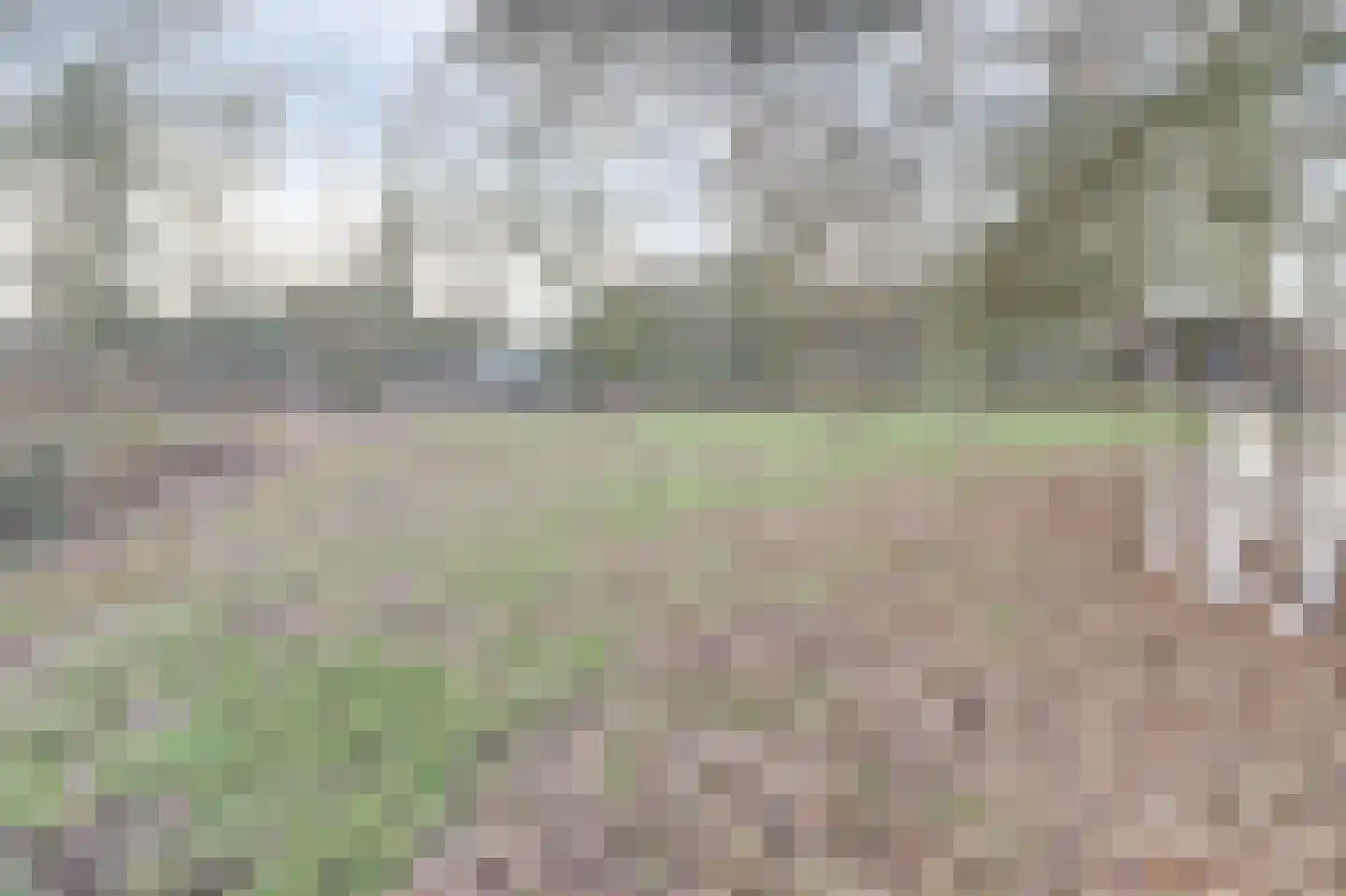 Nieuwe Strumpt 7 Ulicoten thumbnail 51