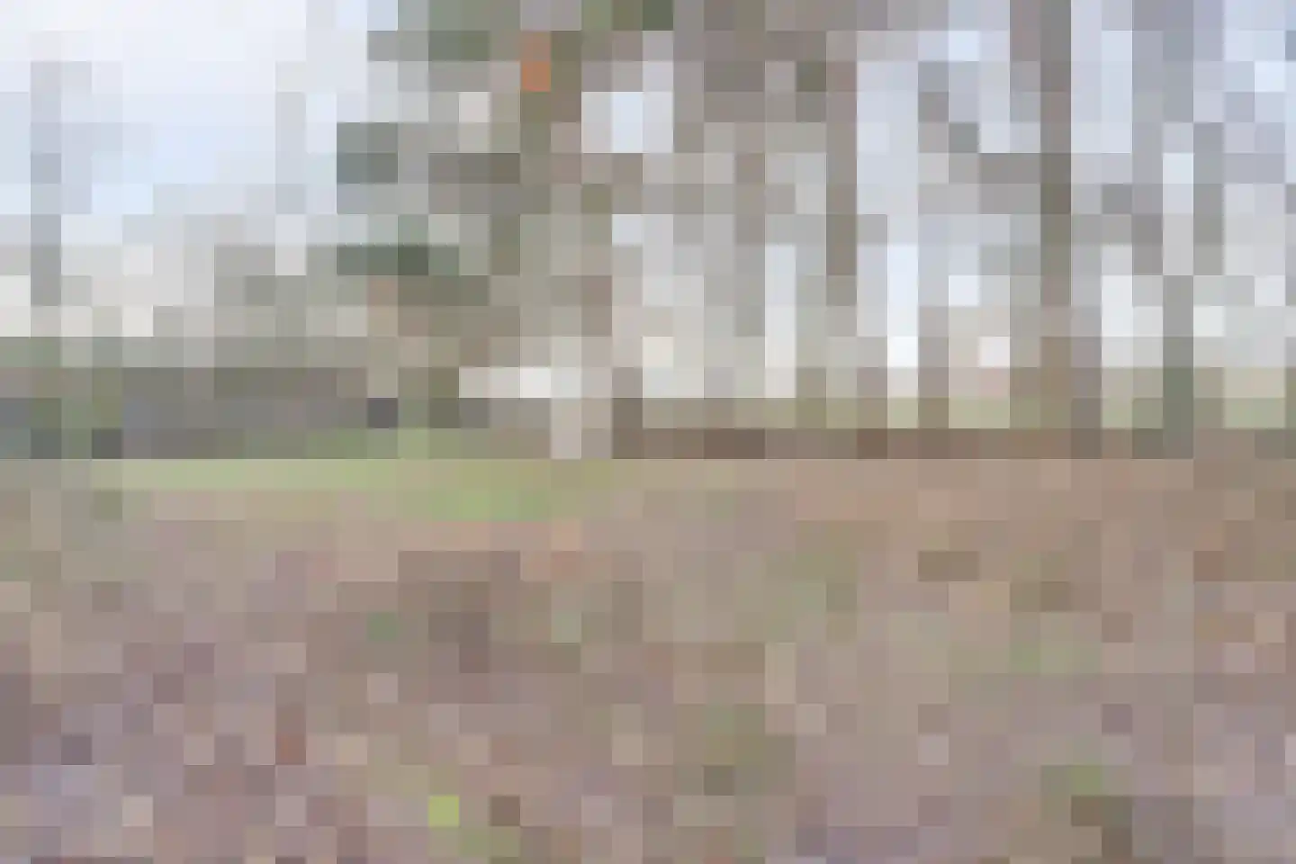 Nieuwe Strumpt 7 Ulicoten thumbnail 52