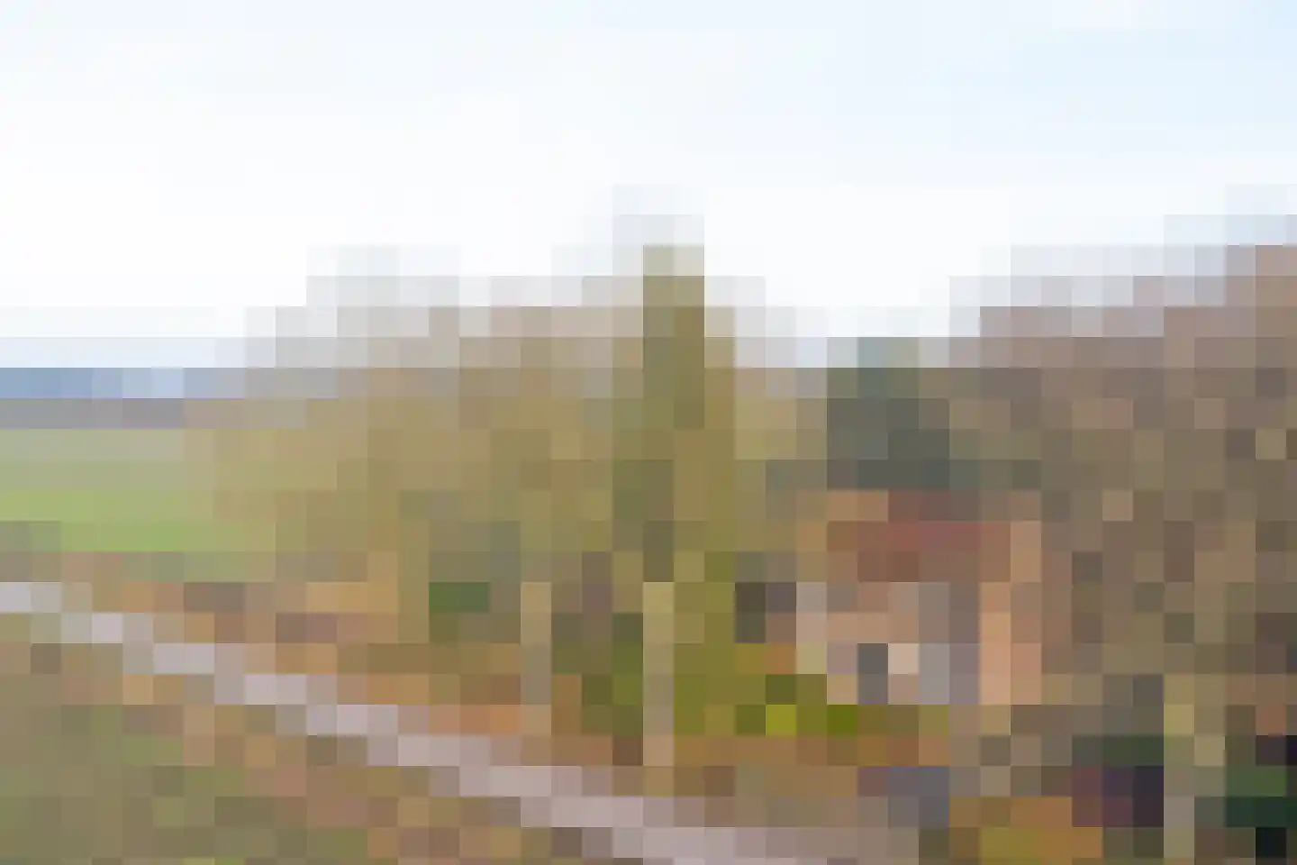 Nieuwe Strumpt 7 Ulicoten thumbnail 56