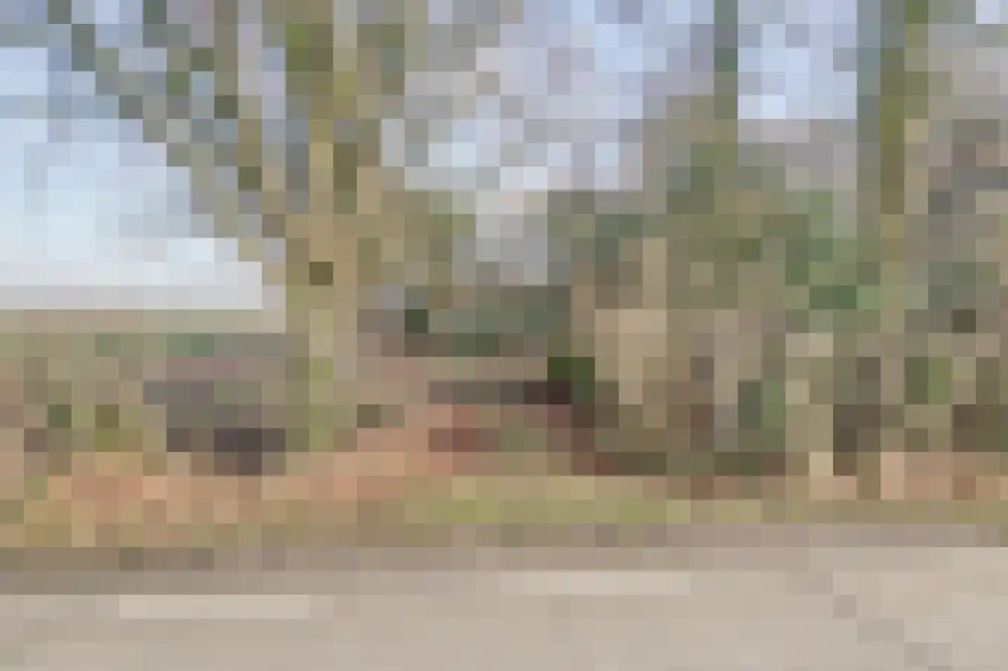 Nieuwe Strumpt 7 Ulicoten thumbnail 61
