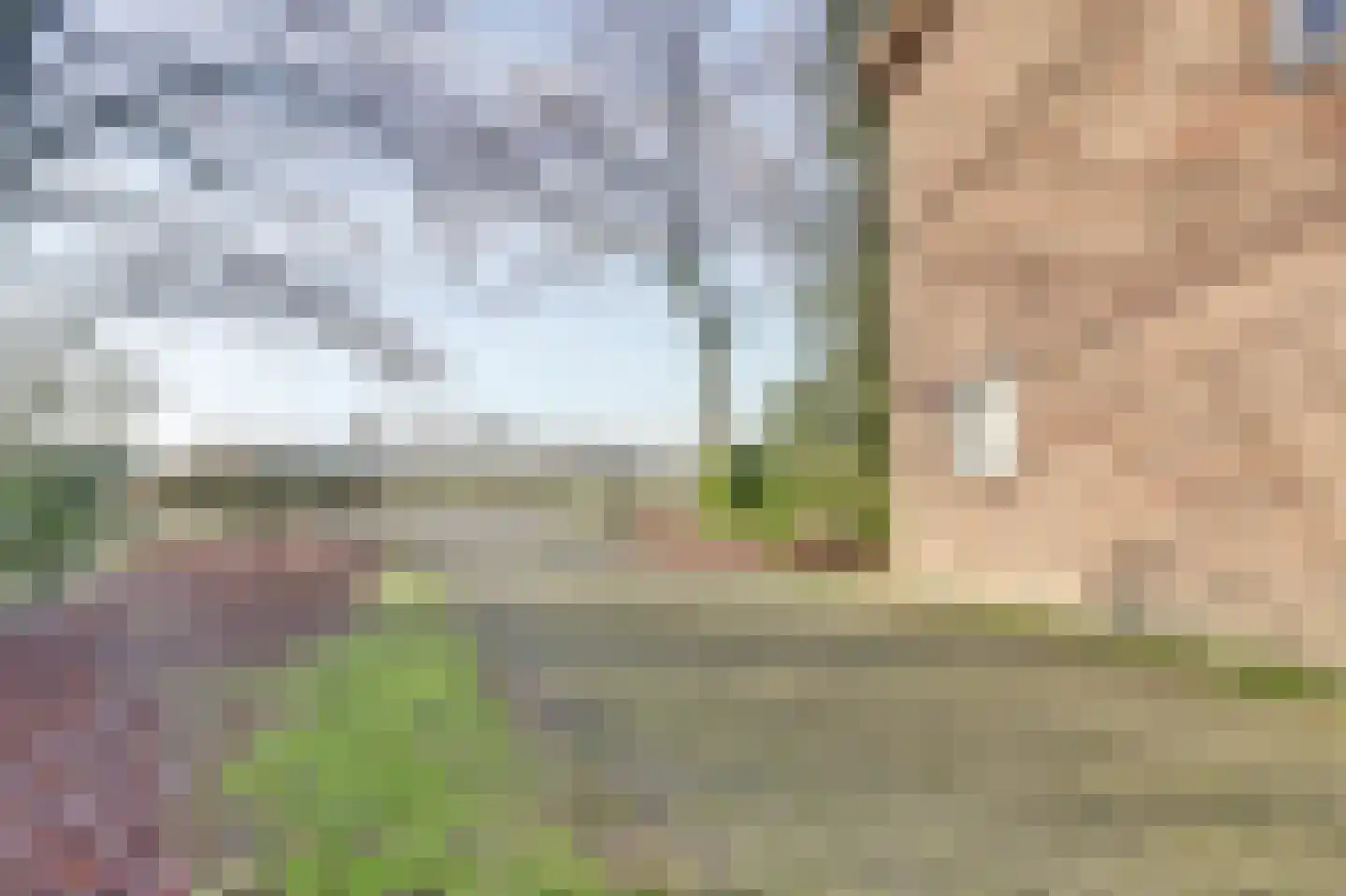 Nieuwe Strumpt 7 Ulicoten thumbnail 63