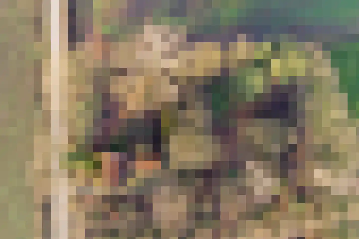 Nieuwe Strumpt 7 Ulicoten thumbnail 67