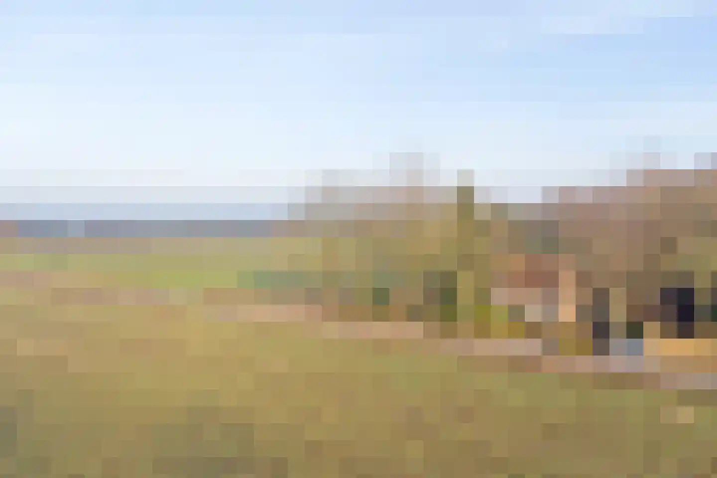 Nieuwe Strumpt 7 Ulicoten thumbnail 69