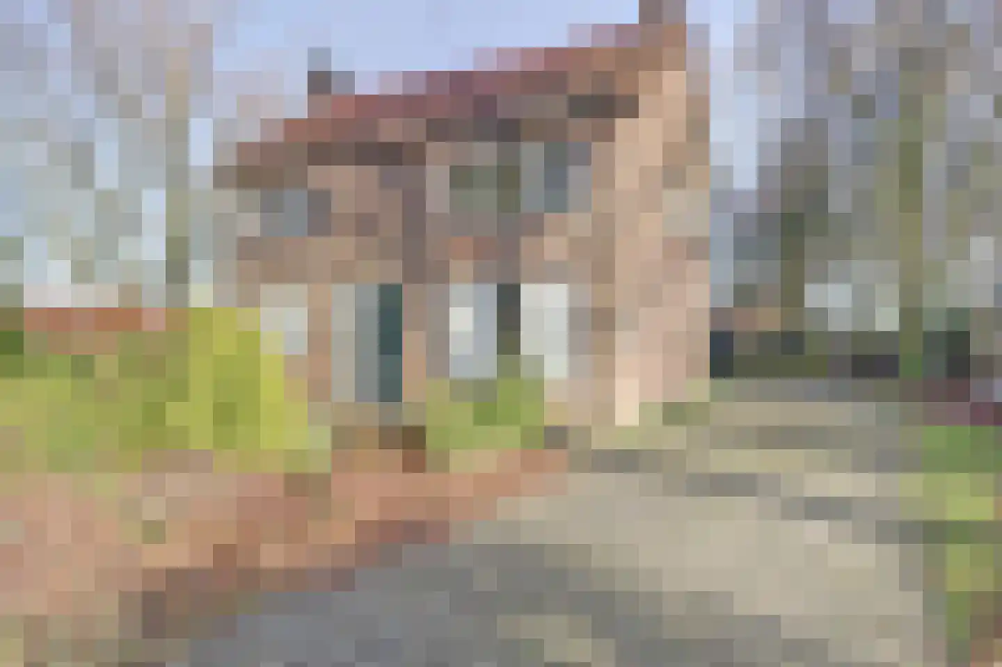 Nieuwe Strumpt 7 Ulicoten thumbnail 7