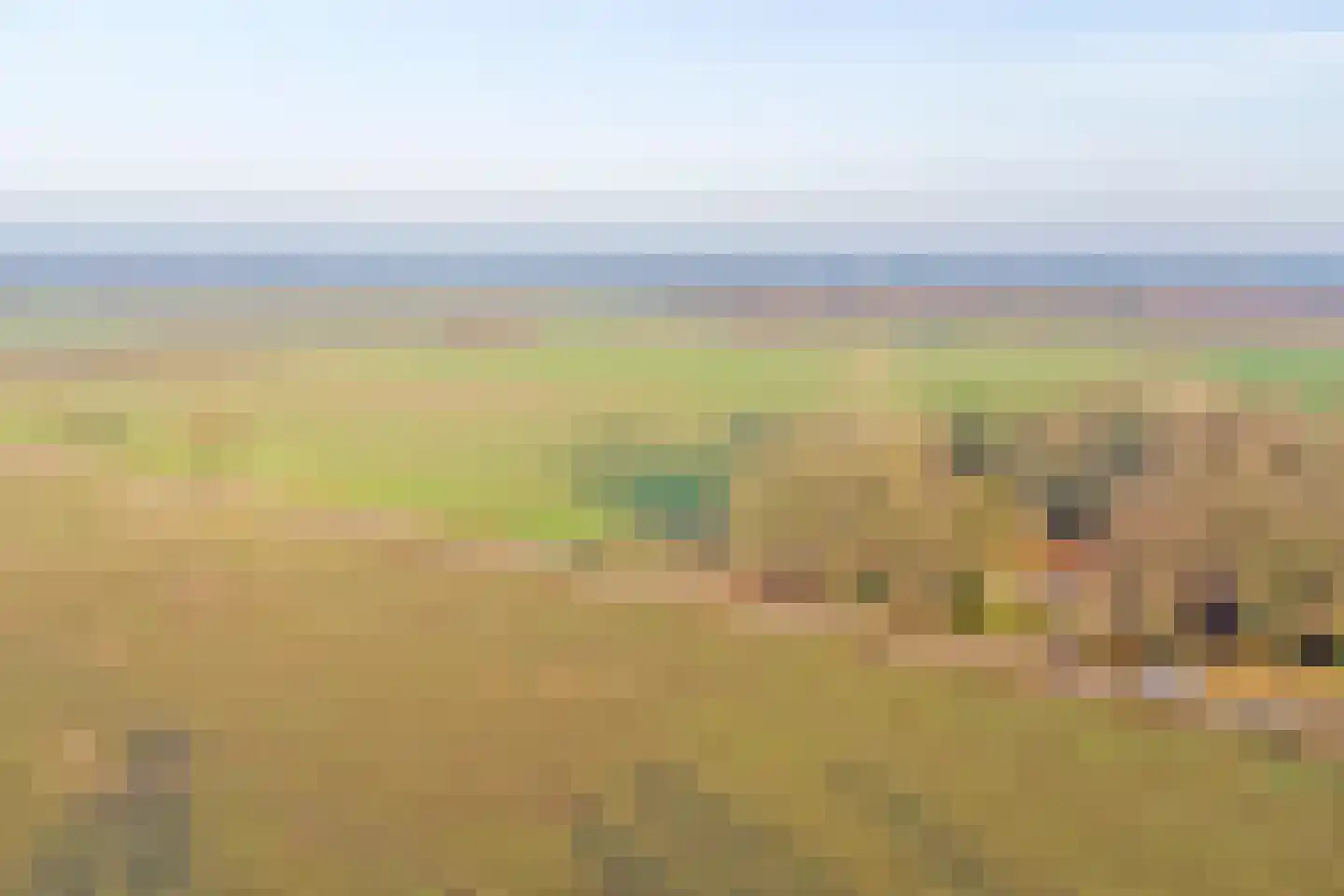 Nieuwe Strumpt 7 Ulicoten thumbnail 70