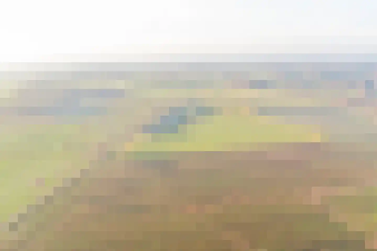 Nieuwe Strumpt 7 Ulicoten thumbnail 71