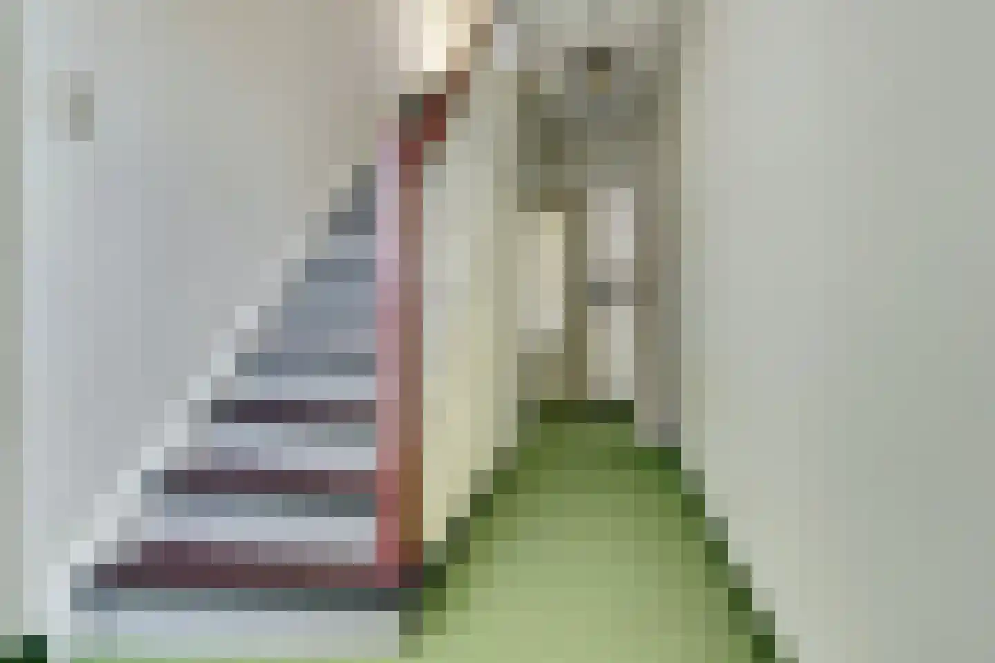 Nieuwe Strumpt 7 Ulicoten thumbnail 9