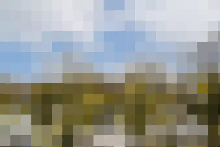 Nieuwe Teertuinen 13 E Amsterdam thumbnail 23