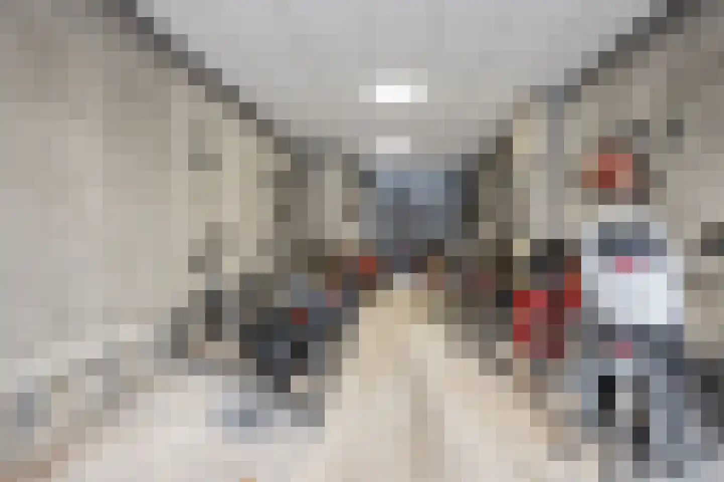 Nieuwe Teertuinen 16 E Amsterdam thumbnail 25