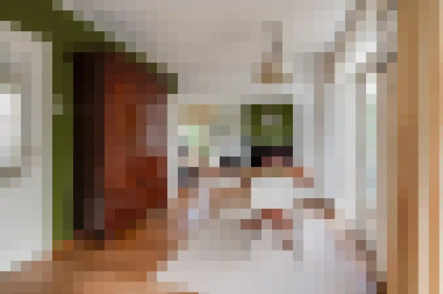 Nieuwe Tielseweg 114 Tiel thumbnail 10