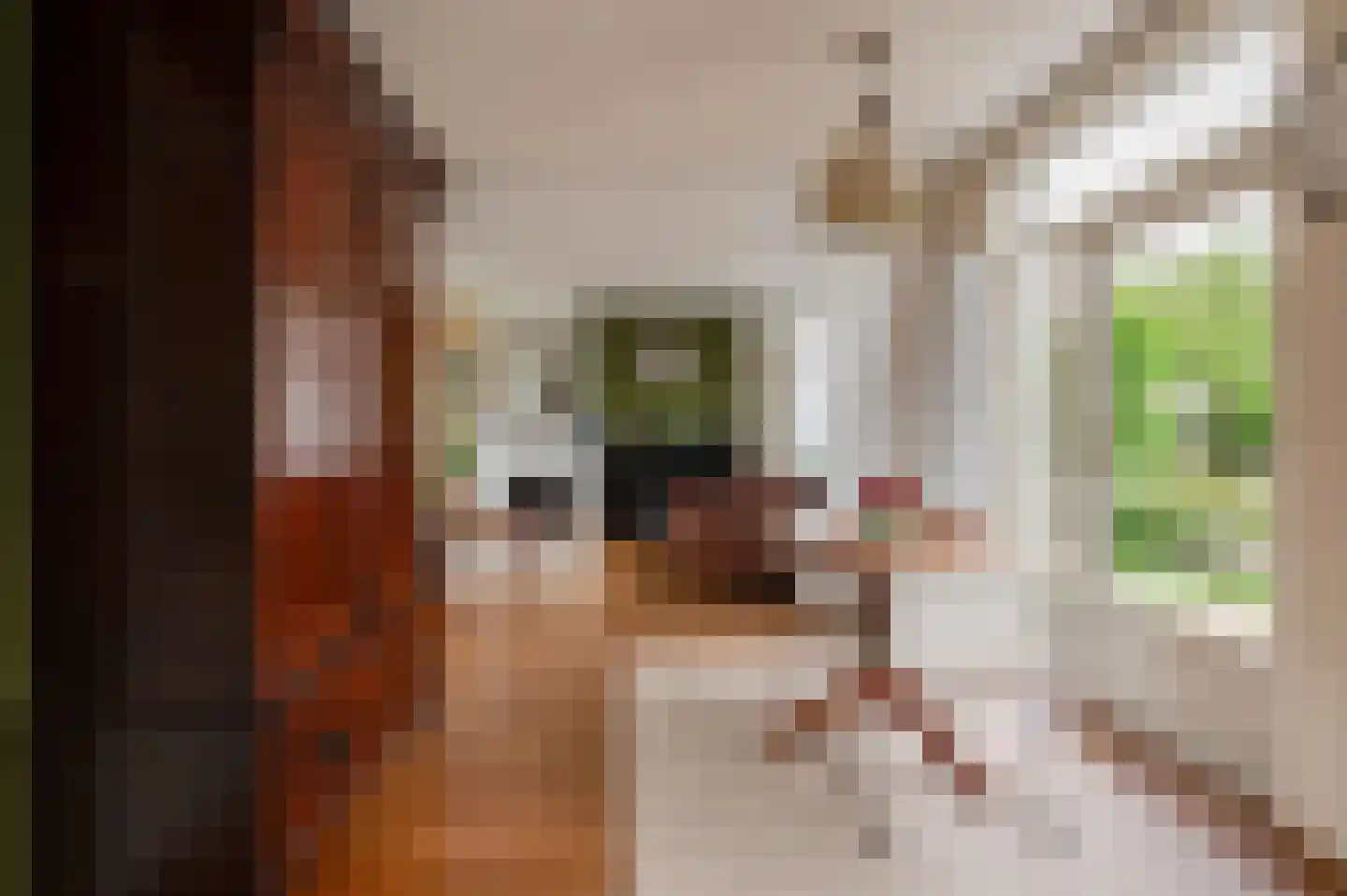 Nieuwe Tielseweg 114 Tiel thumbnail 11