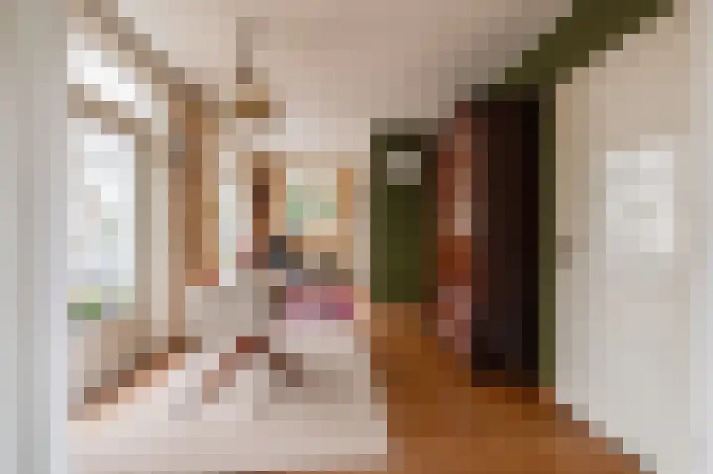 Nieuwe Tielseweg 114 Tiel thumbnail 13